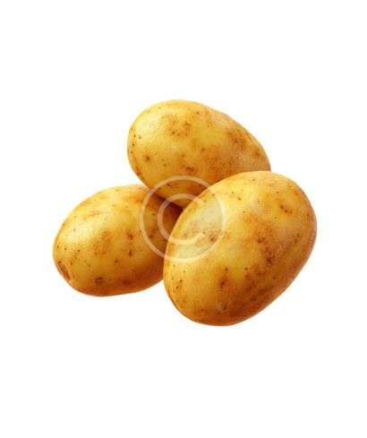 Golden skin potatoes trio