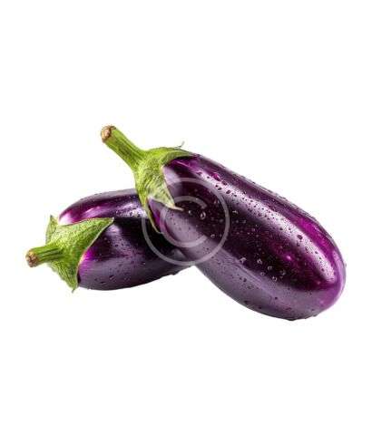 Glossy purple eggplants pair