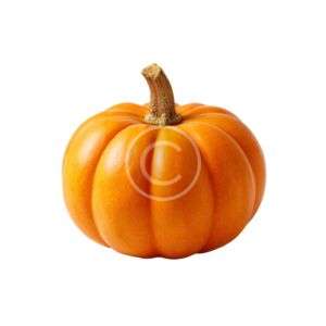 Classic orange cooking pumpkin