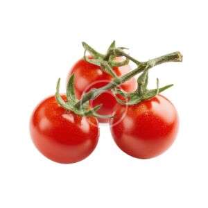Vine ripened red tomatoes