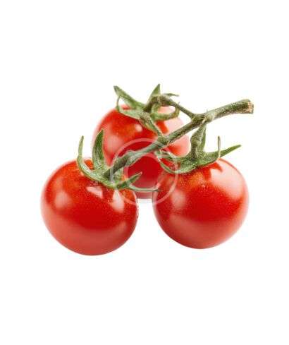 Vine ripened red tomatoes