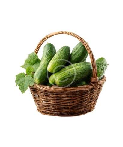 Garden fresh cucumbers basket