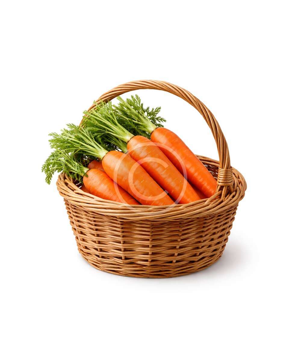 Crisp orange carrots bunch - Image 2
