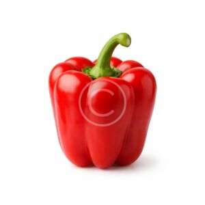 Sweet red bell pepper