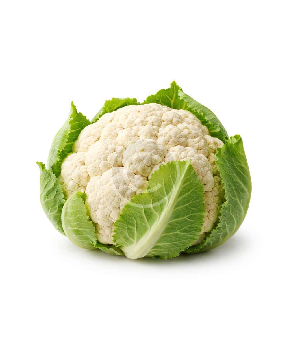 Fresh white cauliflower head