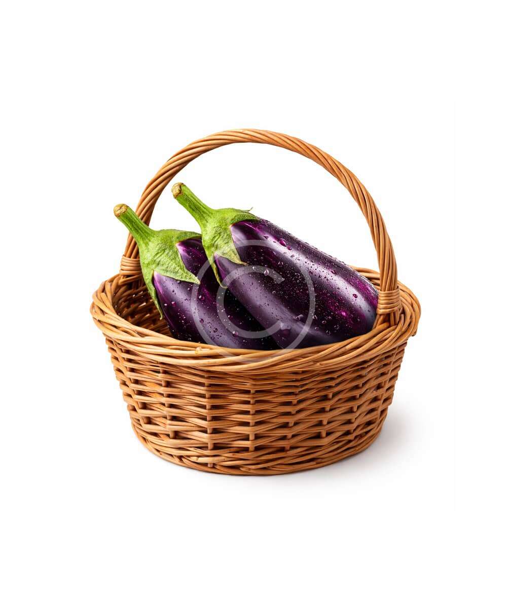 Glossy purple eggplants pair - Image 2