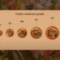 How Ceylon Cinnamon is Graded