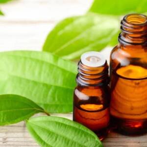 Cinnamon Leaf Oil