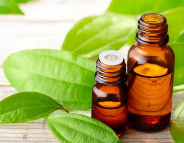 Cinnamon Leaf Oil